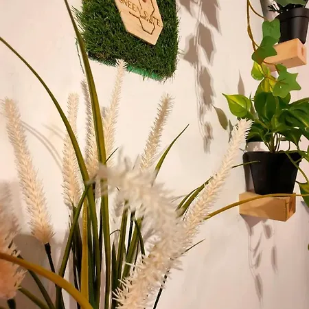 Apartment Green *